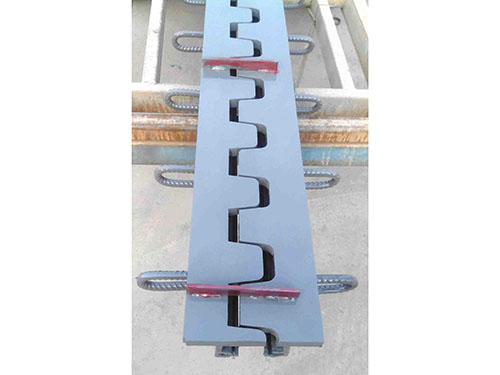 橋梁伸縮裝置 橋梁伸縮裝置